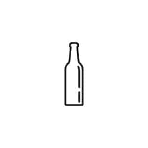 Alcoholic Drink Icon