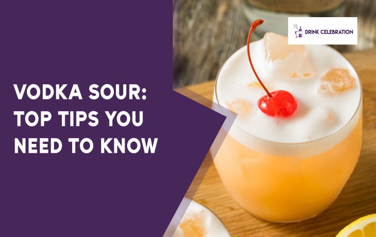 Vodka Sour: Top Tips You Need to Know