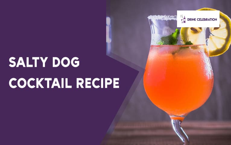 Salty Dog Cocktail Recipe