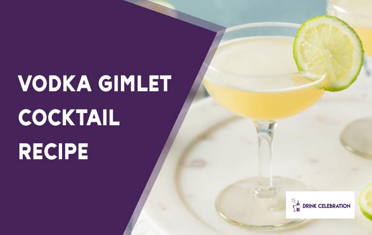 Vodka Gimlet Cocktail Recipe