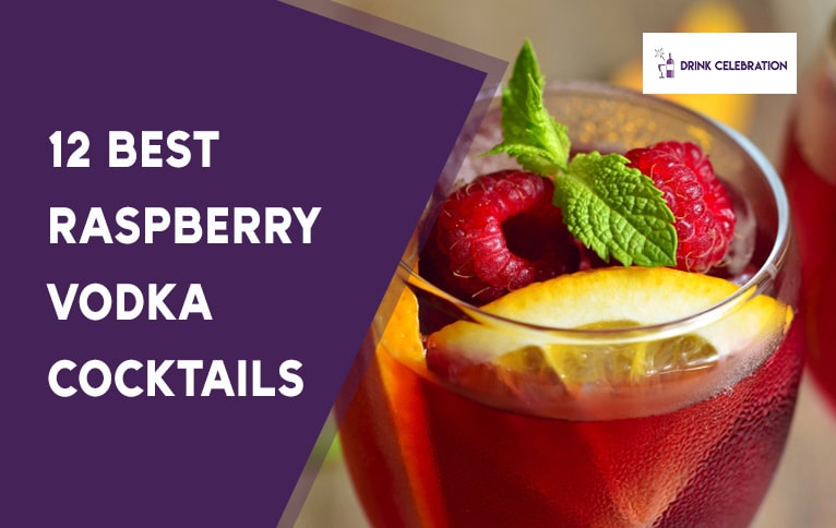 12 Best Raspberry Vodka Cocktails