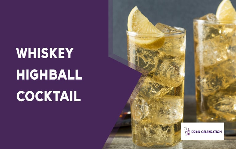 Whiskey Highball Cocktail