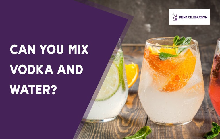 Can You Mix Vodka and Water?