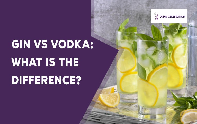 Gin vs Vodka: What is the Difference?