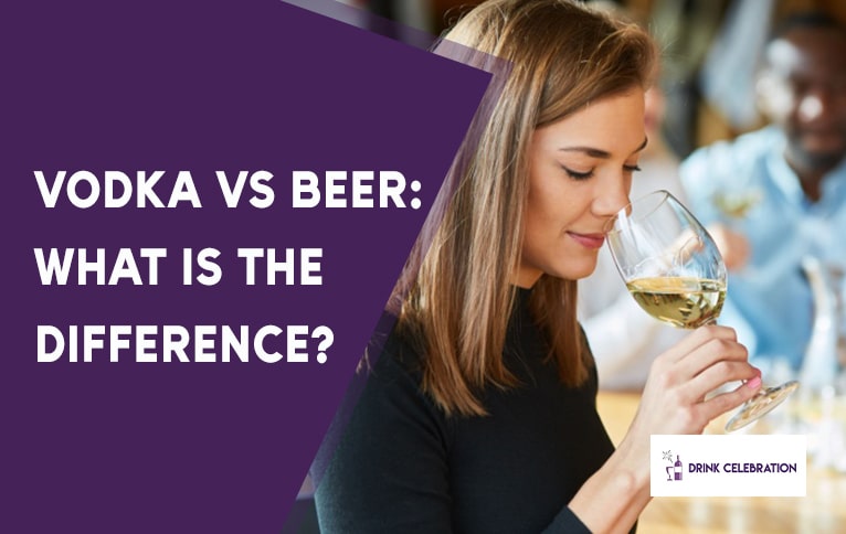 Vodka vs Beer: What is the Difference?