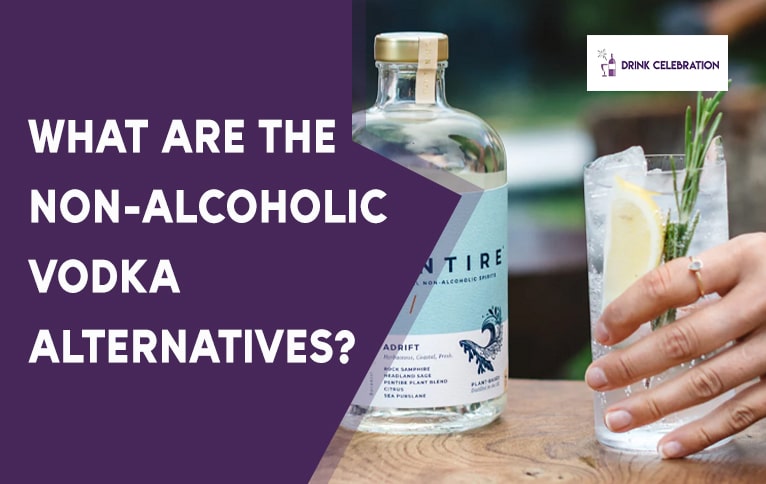 What Are the Non-Alcoholic Vodka Alternatives?